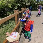 phoca_thumb_m_vlet km 27 Fotogalerie